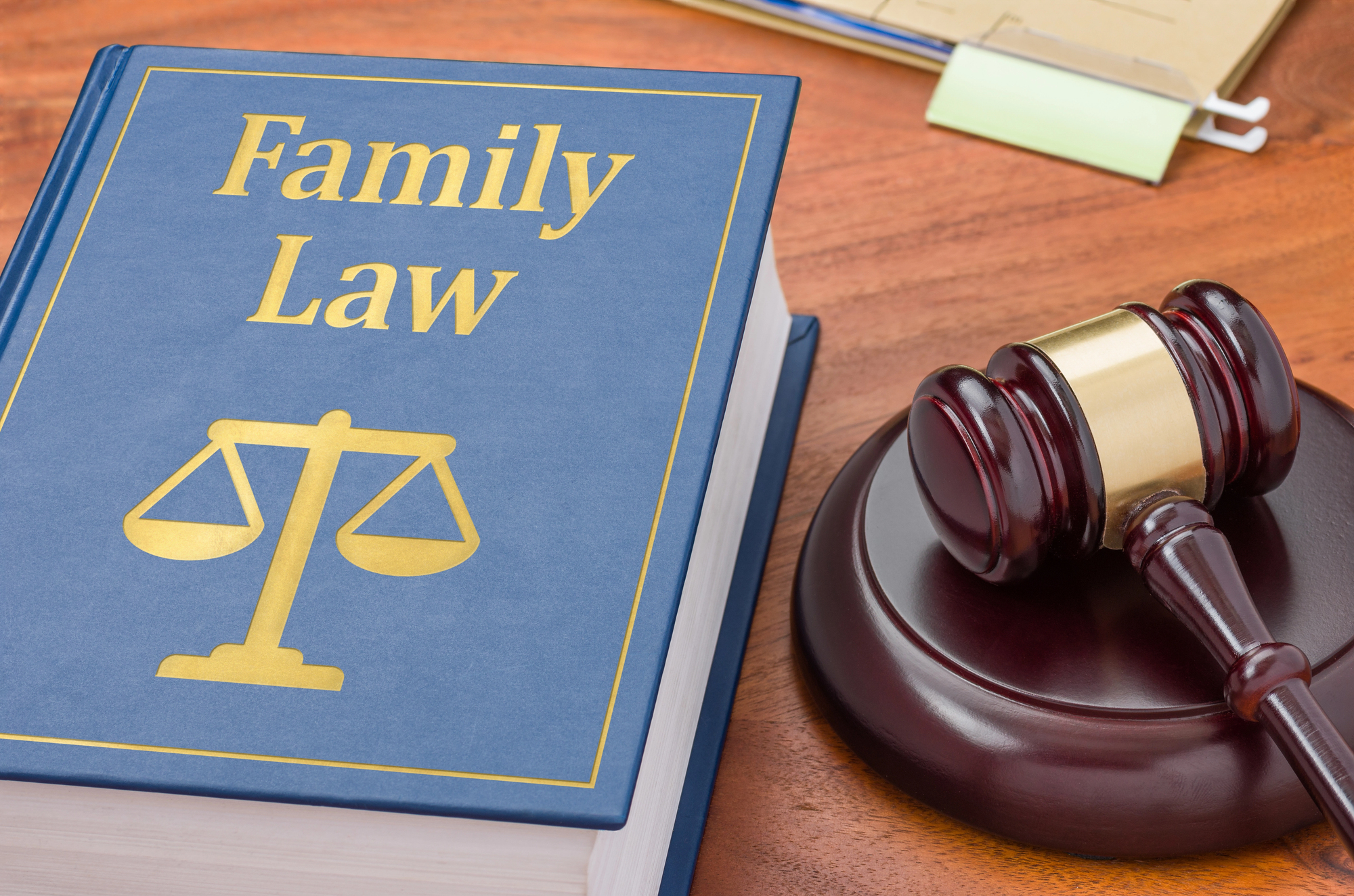 Recap of Mindy Mitnick’s Presentation on Trauma-Informed Practice in Family Law Cases